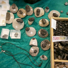normal_28052012mineralientagehalleinat05007aktivnews_jpg_16.JPG