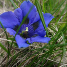 DSC03558_JPG-1338281056
