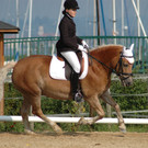 Dressurturnier Bregenz-Mehrerau