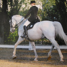 Landesmeisterschaft 2011 035_JPG-1338282940