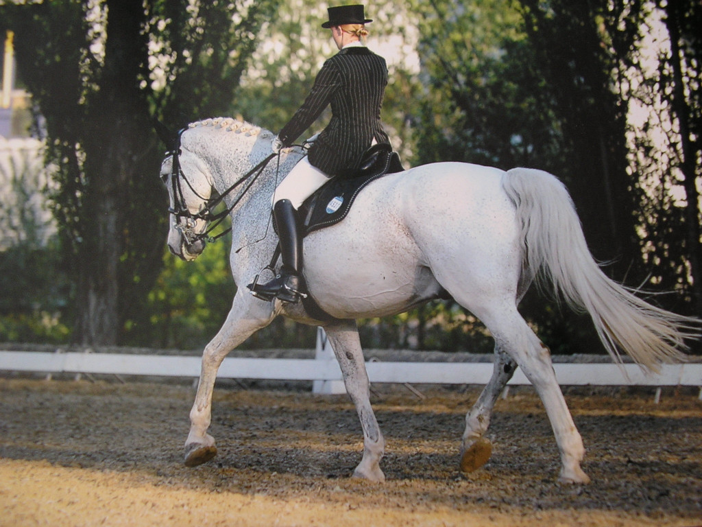 Landesmeisterschaft 2011 035_JPG-1338282940