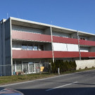 westansi.jpg