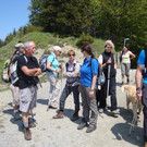 DSC04329_JPG-1338290179