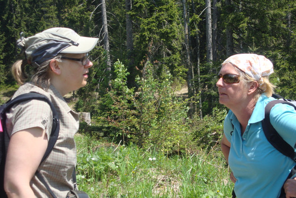 DSC04333_JPG-1338292712