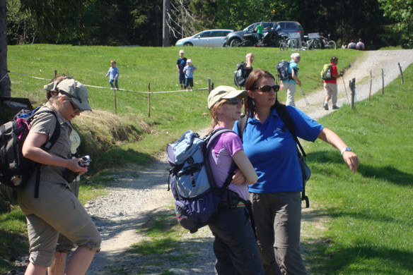 DSC04341_JPG-1338292761