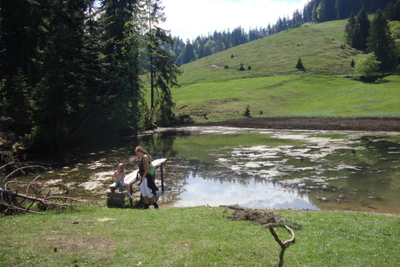 DSC04345_JPG-1338292807