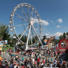 Dult120527038.jpg