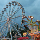 Dult120528011.jpg