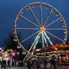 Dult120528025.jpg