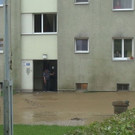 normal_29052012fmt_ueberflutungmauthausen_sa_04.jpg