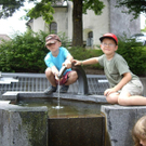 IMGP2701.JPG