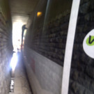 Wien-20120531-00055.jpg