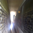 Wien-20120531-00057.jpg