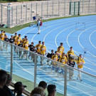 DSC_0201.jpg