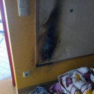 Bilder vom Kindergarten