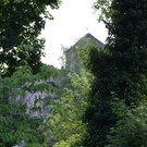 DSC02978.JPG