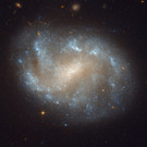 IBD0693-20120309.jpg