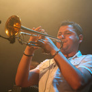 11704917.jpg