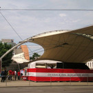 IMG_3685.jpg