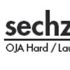 logo sechzehnplus lang.jpg