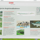 Rheinbr__cke 01_06_2012 51_jpg-1338562290