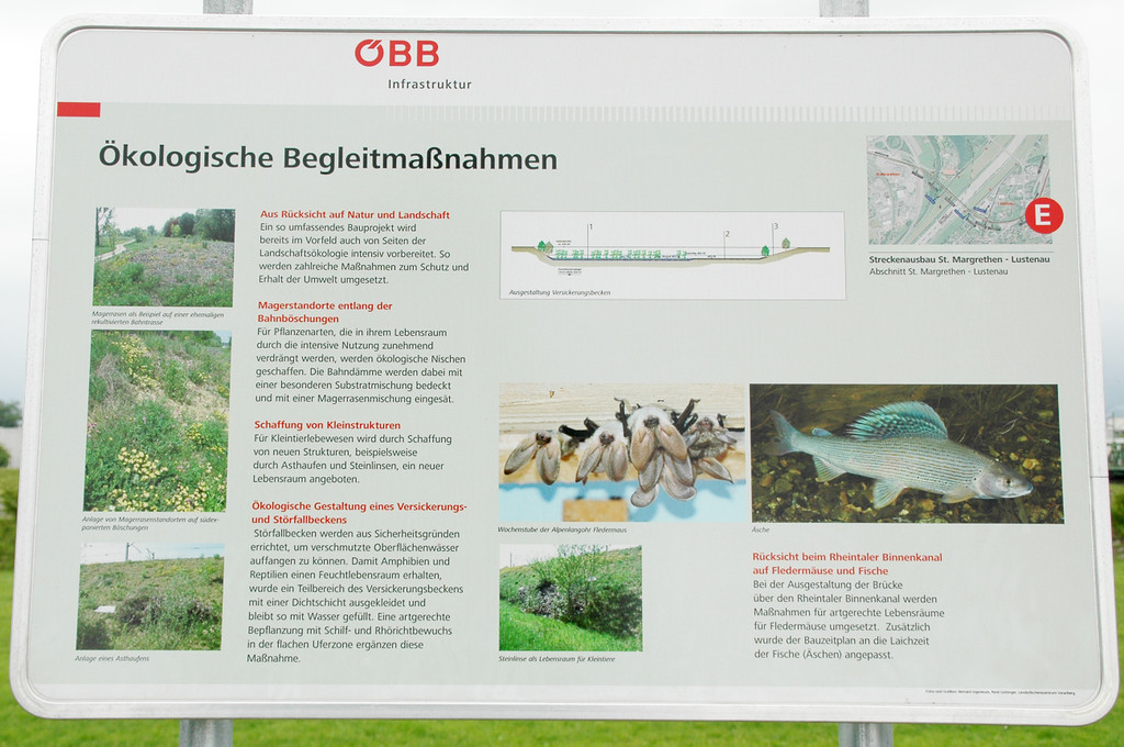 Rheinbr__cke 01_06_2012 51_jpg-1338562290