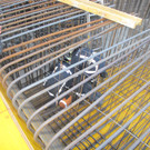 IMG_5177_jpg-1338562058