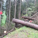 Arbeitsunfall in Tschagguns: Tanne an Kopf