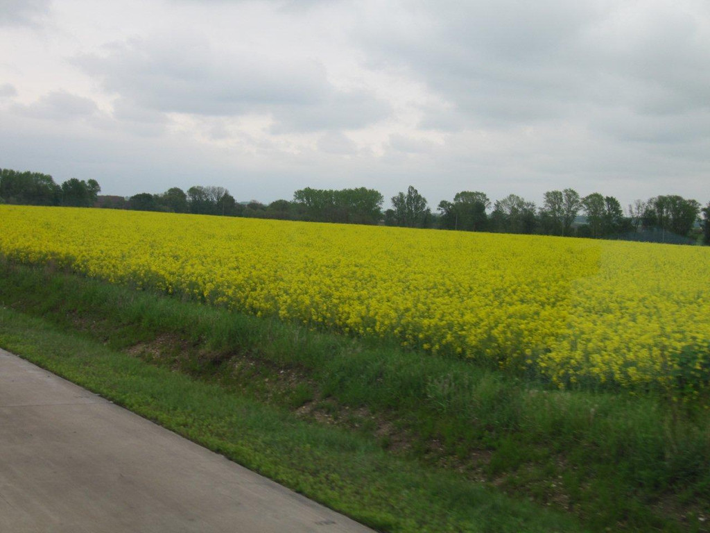 1_ Elbradtour 06_05_2012 002_jpg-1338622658