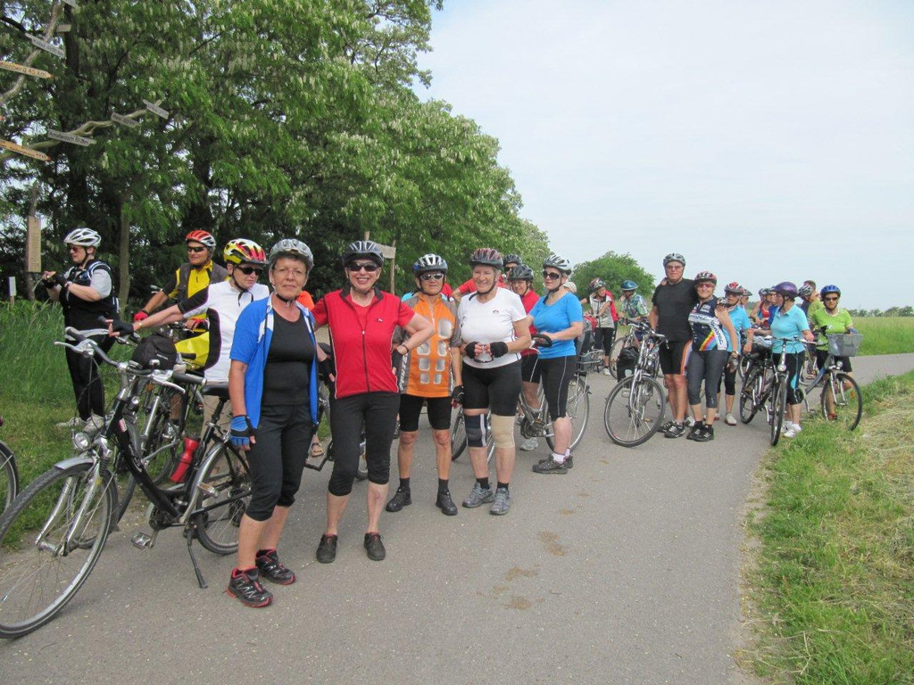 Elberadtour II vom 20_ - 25_ Mai 2012 012_jpg-1338622702