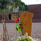 _D9P1736.jpg
