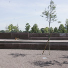 _F5M2103.JPG