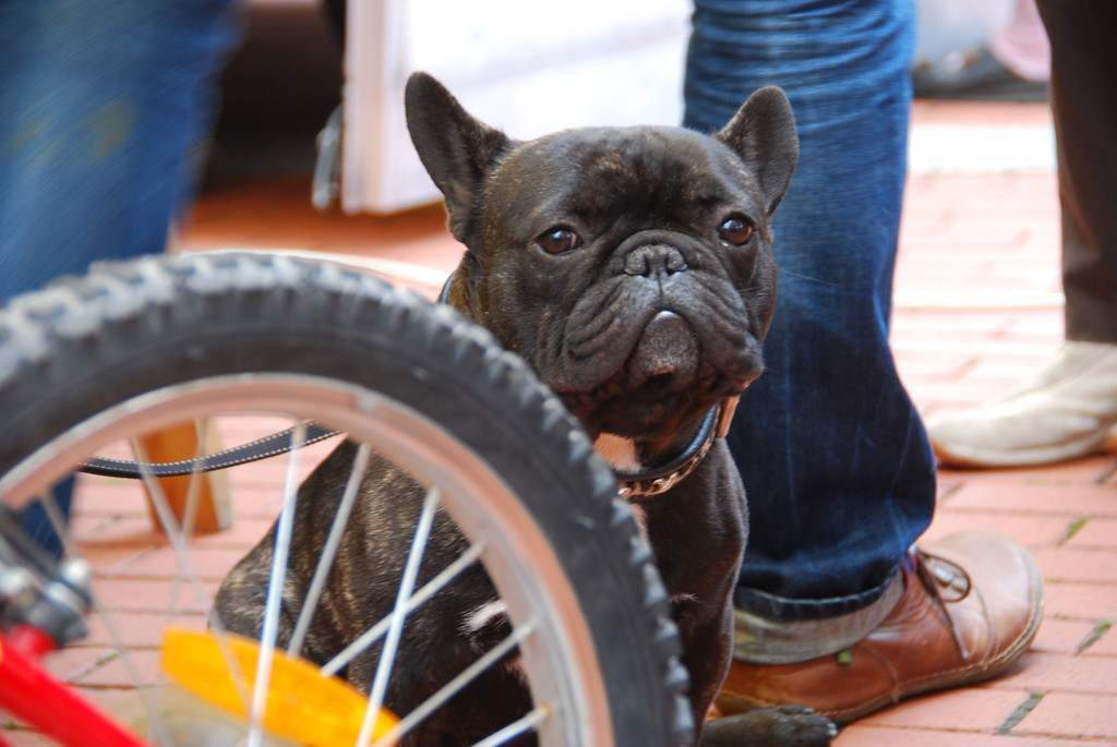 DSC_6046_jpg-1338661844