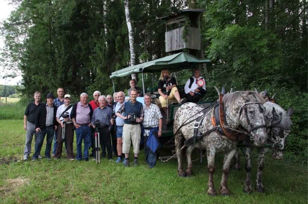 KOE_Irisbl__te Matschels 1_jpg-1338666232