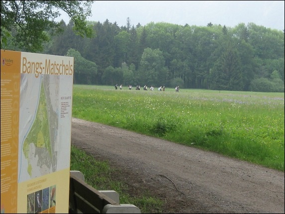 KOE_Irisbl__te Matschels 2_jpg-1338666234