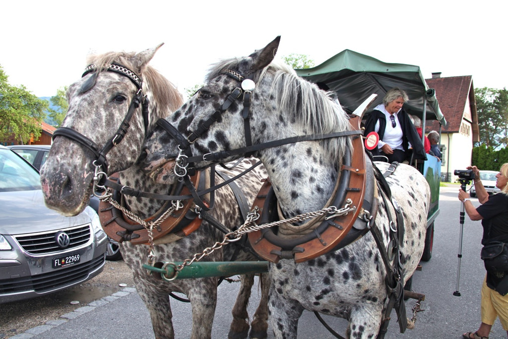 KOE_Irisbl__te Matschels 4_jpg-1338666245