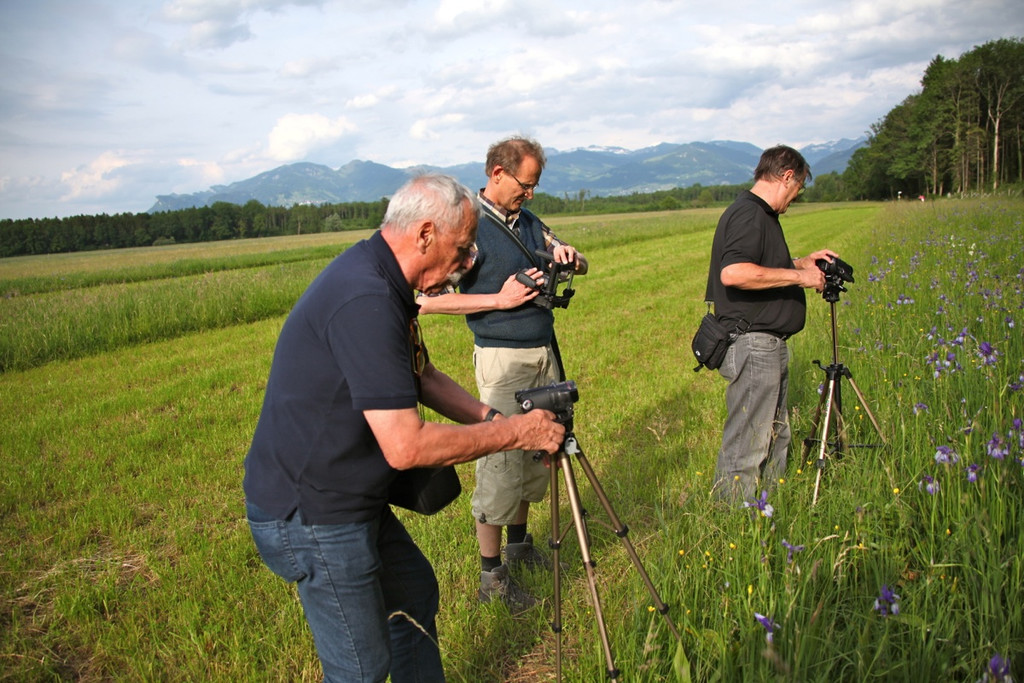 KOE_Irisbl__te Matschels 15_jpg-1338666312