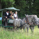 KOE_Irisbl__te Matschels 22_jpg-1338666355