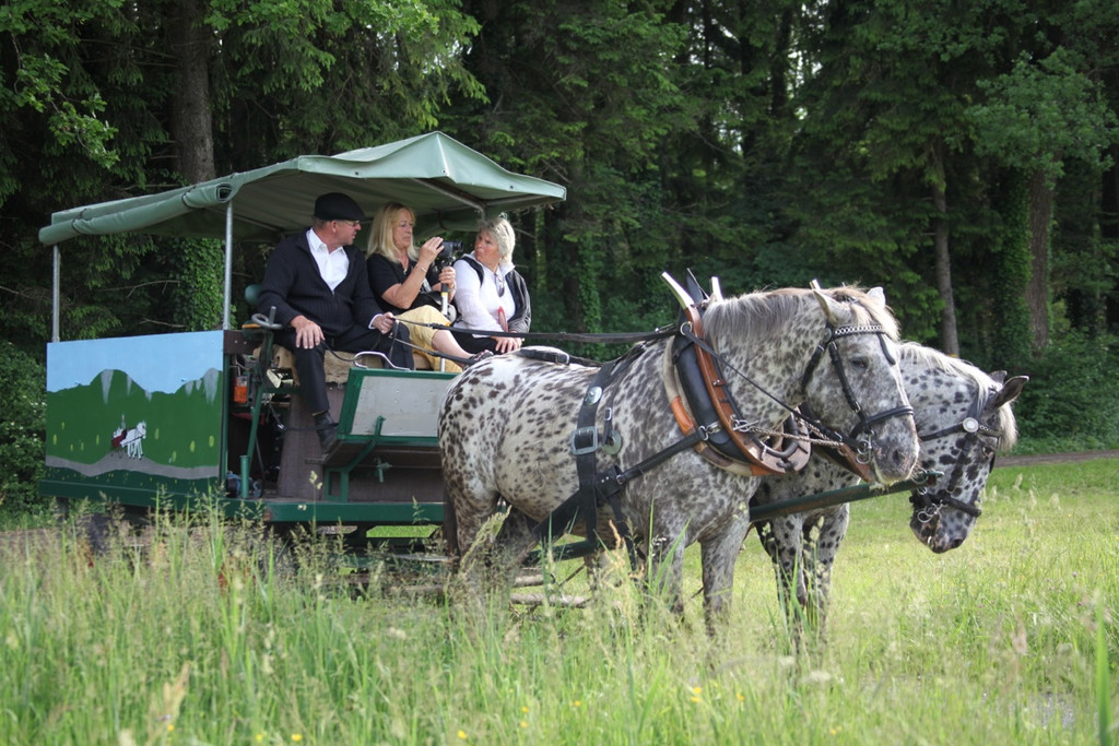 KOE_Irisbl__te Matschels 22_jpg-1338666355