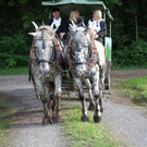 KOE_Irisbl__te Matschels 23_jpg-1338666365