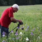 KOE_Irisbl__te Matschels 27_jpg-1338666389