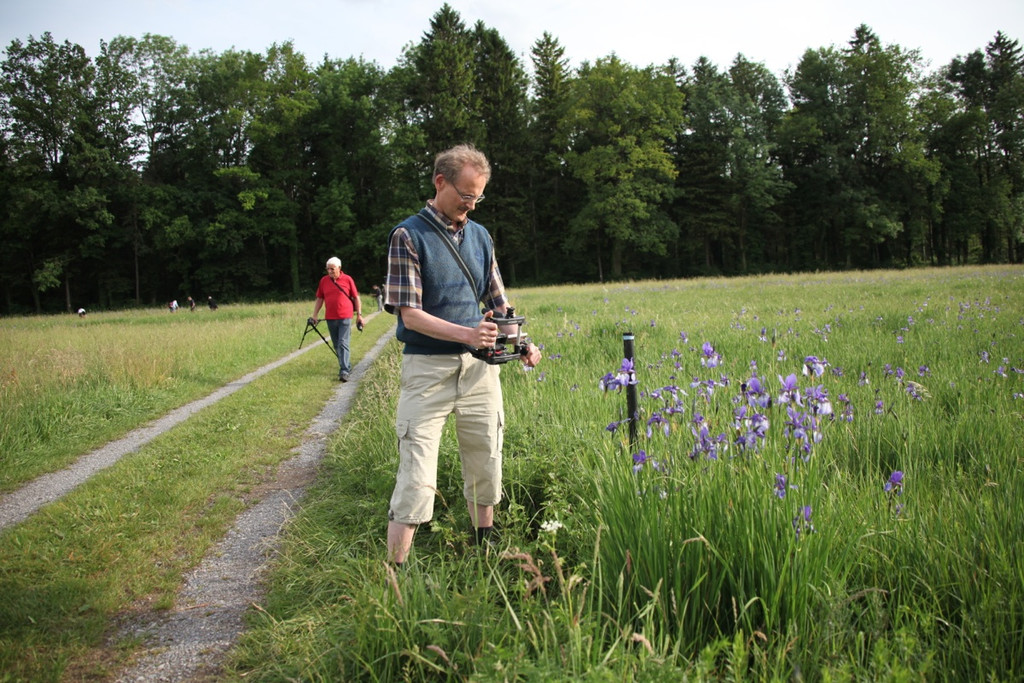 KOE_Irisbl__te Matschels 38_jpg-1338666445