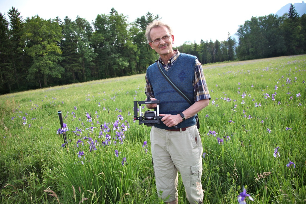 KOE_Irisbl__te Matschels 43_jpg-1338666475