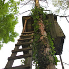 KOE_Irisbl__te Matschels 45_jpg-1338666491