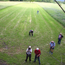 KOE_Irisbl__te Matschels 47_jpg-1338666504