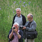 KOE_Irisbl__te Matschels 48_jpg-1338666512