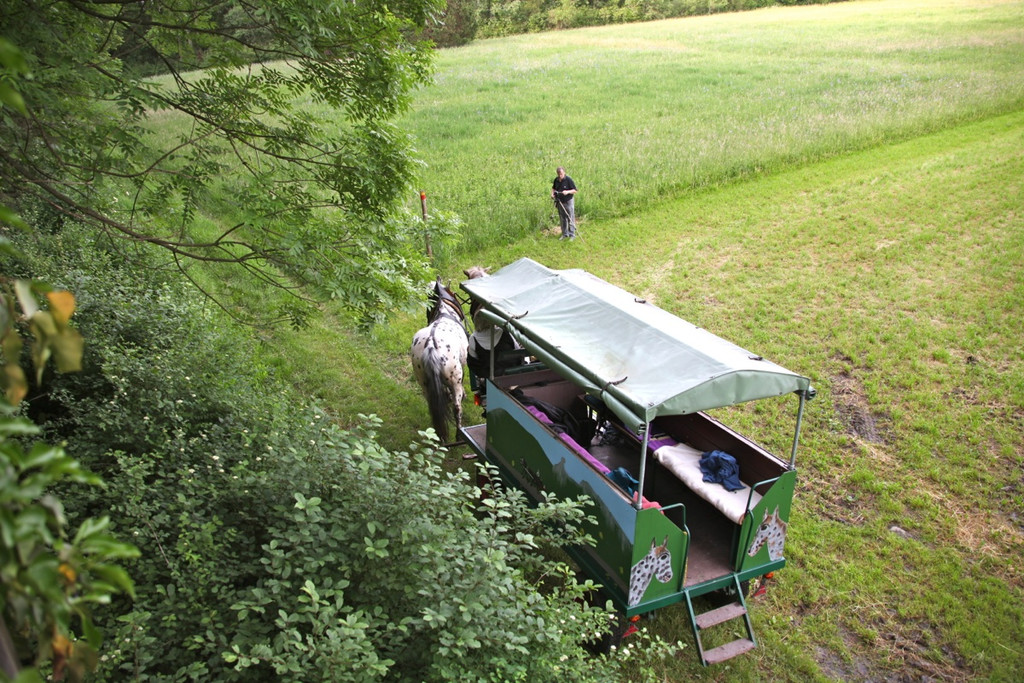 KOE_Irisbl__te Matschels 49_jpg-1338666523