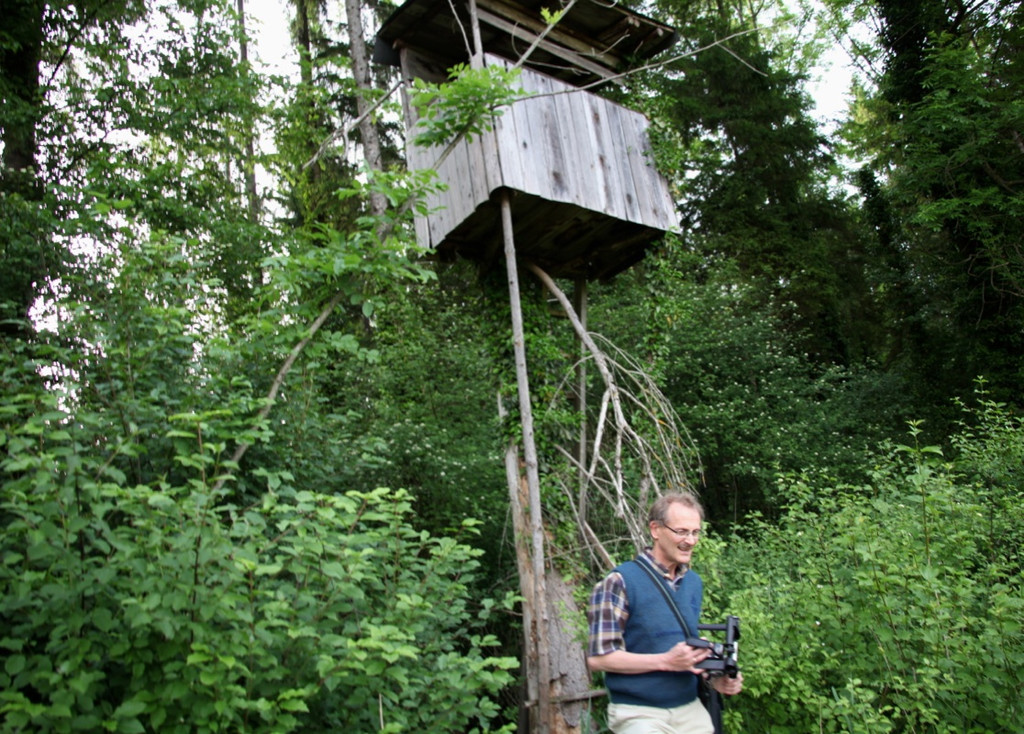 KOE_Irisbl__te Matschels 50_jpg-1338666532