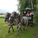 KOE_Irisbl__te Matschels 51_jpg-1338666540