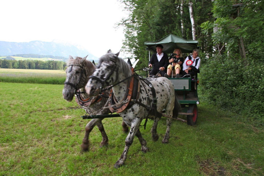 KOE_Irisbl__te Matschels 51_jpg-1338666540